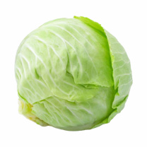 Капуста 